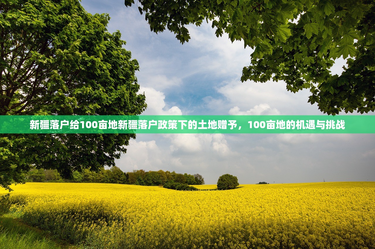 新疆落户给100亩地新疆落户政策下的土地赠予,100亩地的机遇与挑战 新疆落户给100亩地新疆落户政策下的土地赠予,100亩地的机遇与挑战