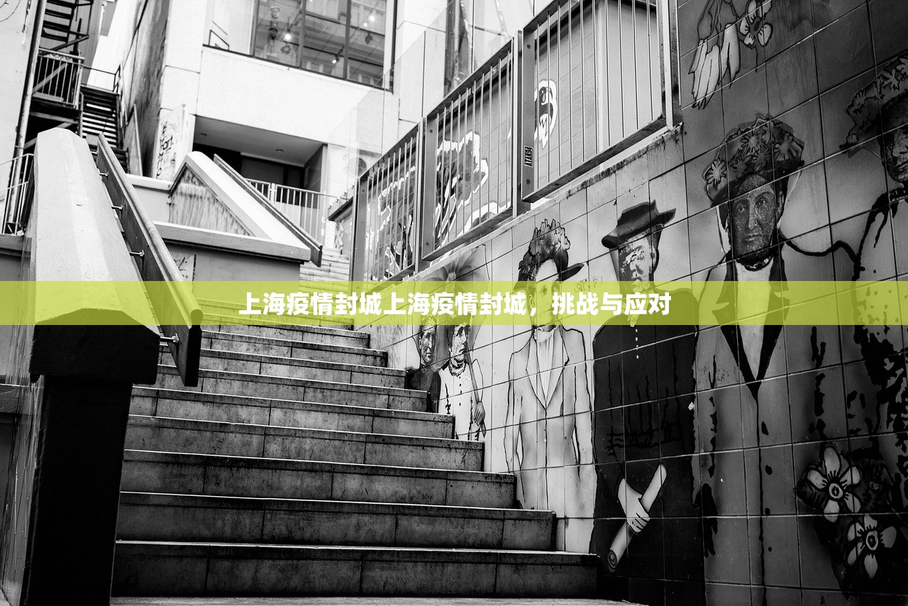 上海疫情封城上海疫情封城，挑战与应对