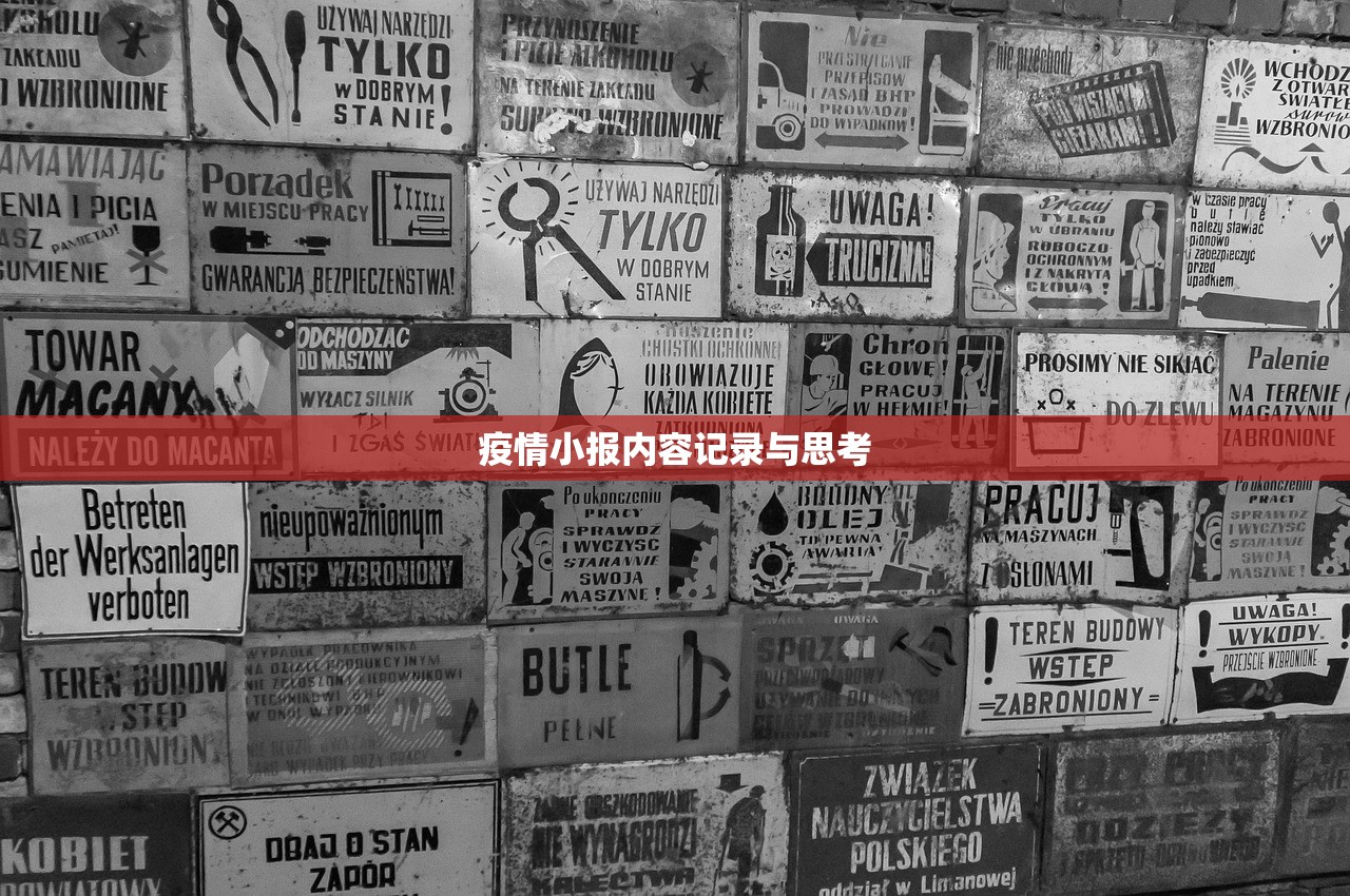 疫情小报内容记录与思考