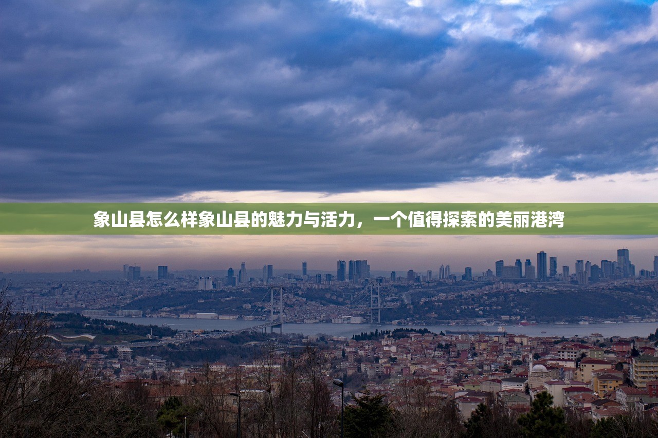 象山县怎么样象山县的魅力与活力，一个值得探索的美丽港湾