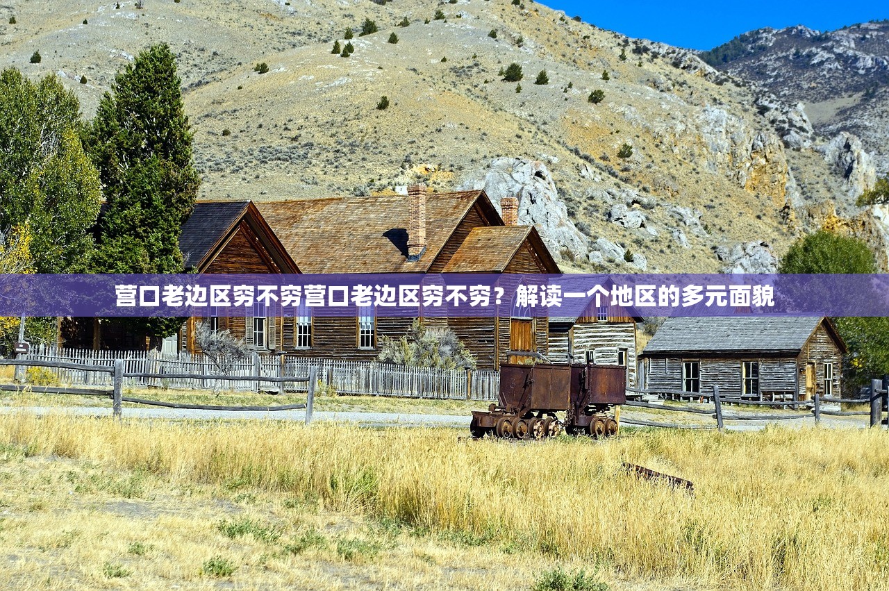 营口老边区穷不穷营口老边区穷不穷？解读一个地区的多元面貌