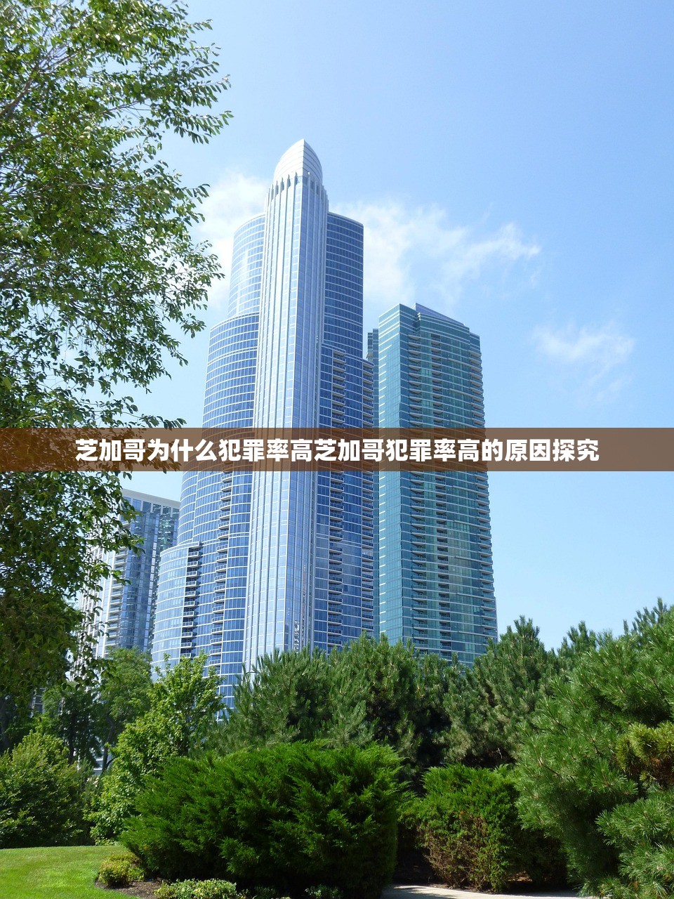 芝加哥为什么犯罪率高芝加哥犯罪率高的原因探究