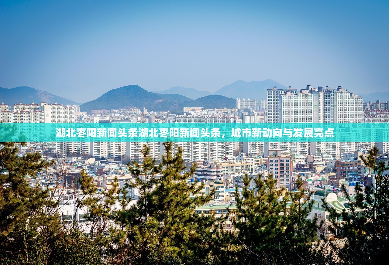 湖北枣阳新闻头条湖北枣阳新闻头条，城市新动向与发展亮点