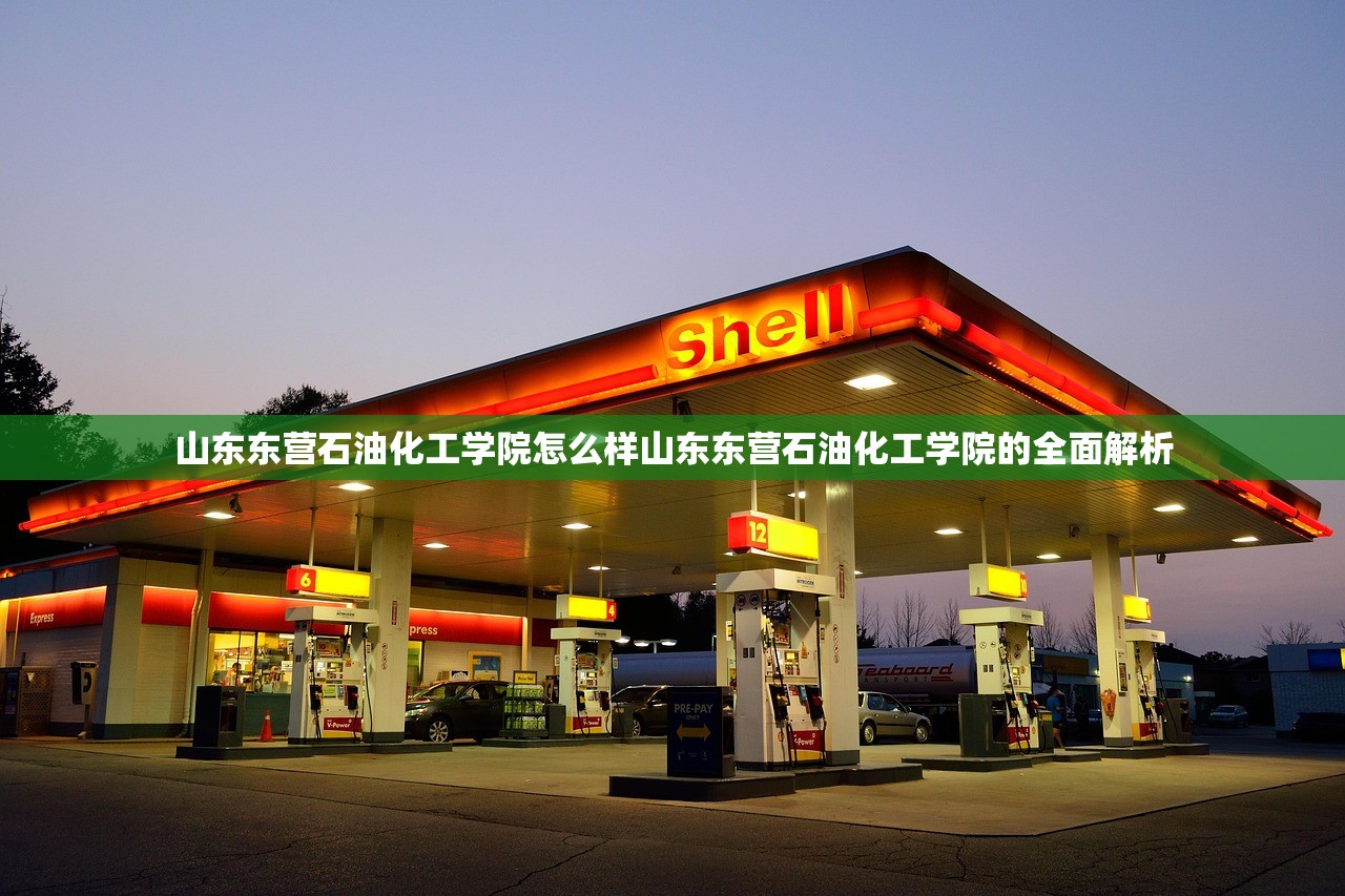 山东东营石油化工学院怎么样山东东营石油化工学院的全面解析