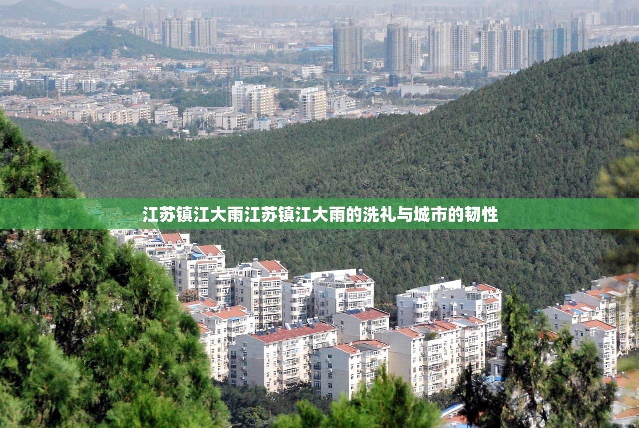 江苏镇江大雨江苏镇江大雨的洗礼与城市的韧性