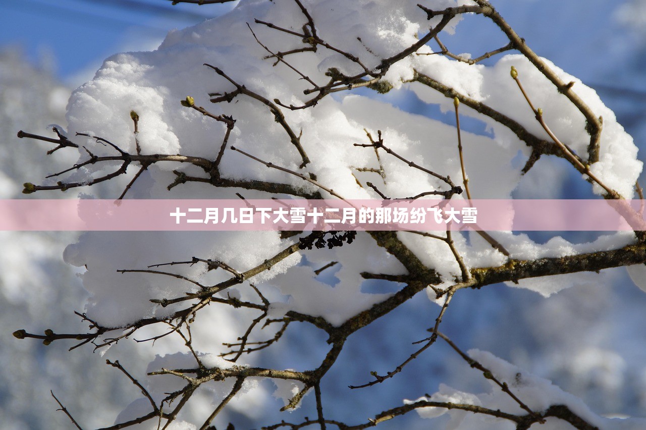 十二月几日下大雪十二月的那场纷飞大雪