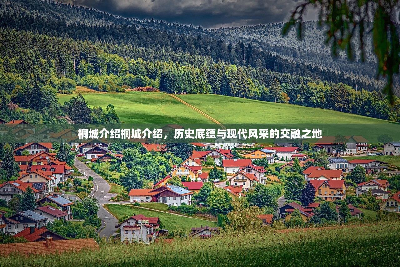 桐城介绍桐城介绍，历史底蕴与现代风采的交融之地