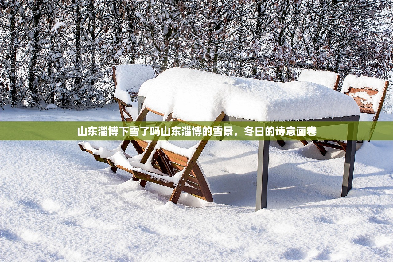 山东淄博下雪了吗山东淄博的雪景，冬日的诗意画卷