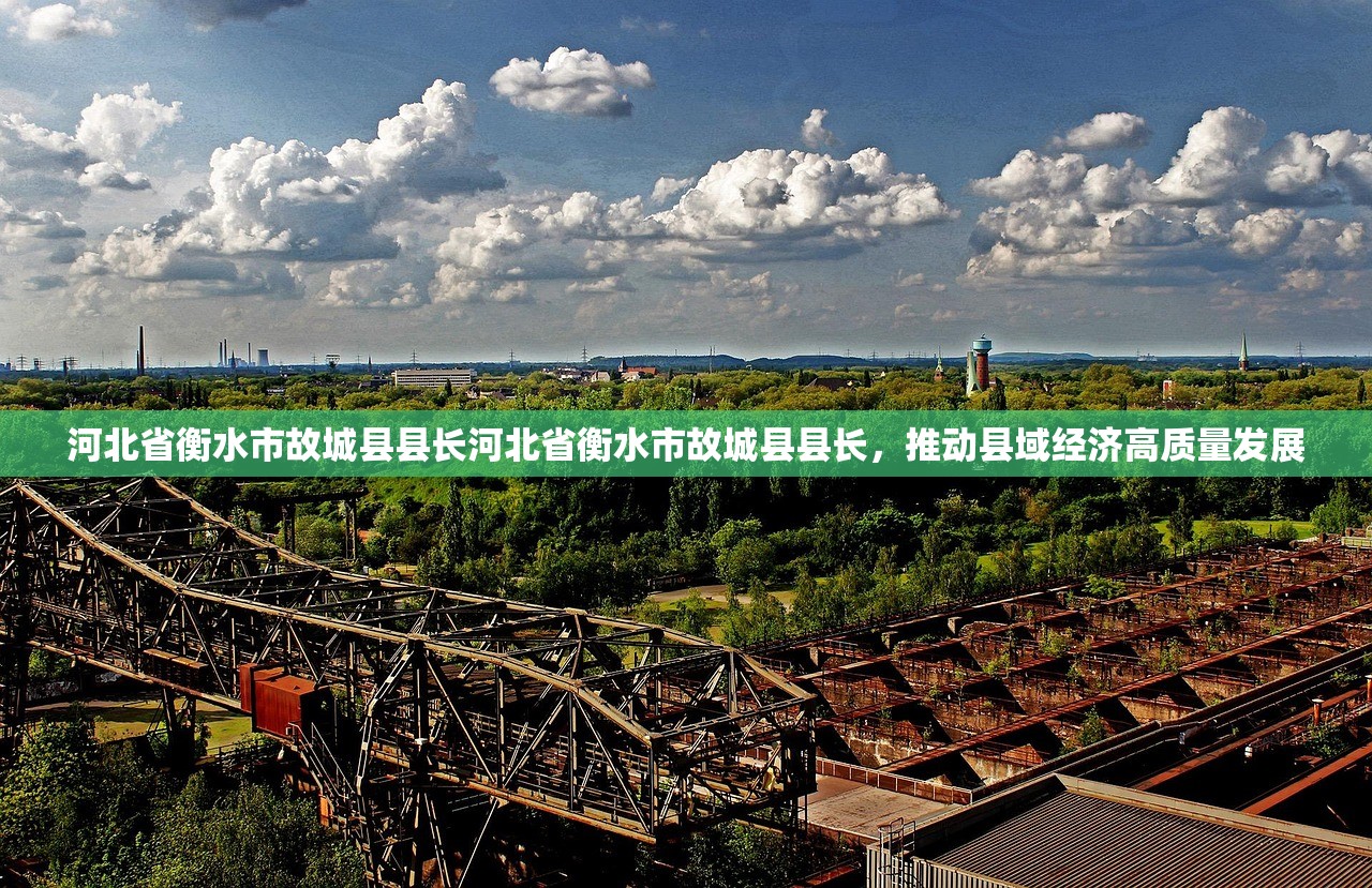 河北省衡水市故城县县长河北省衡水市故城县县长，推动县域经济高质量发展