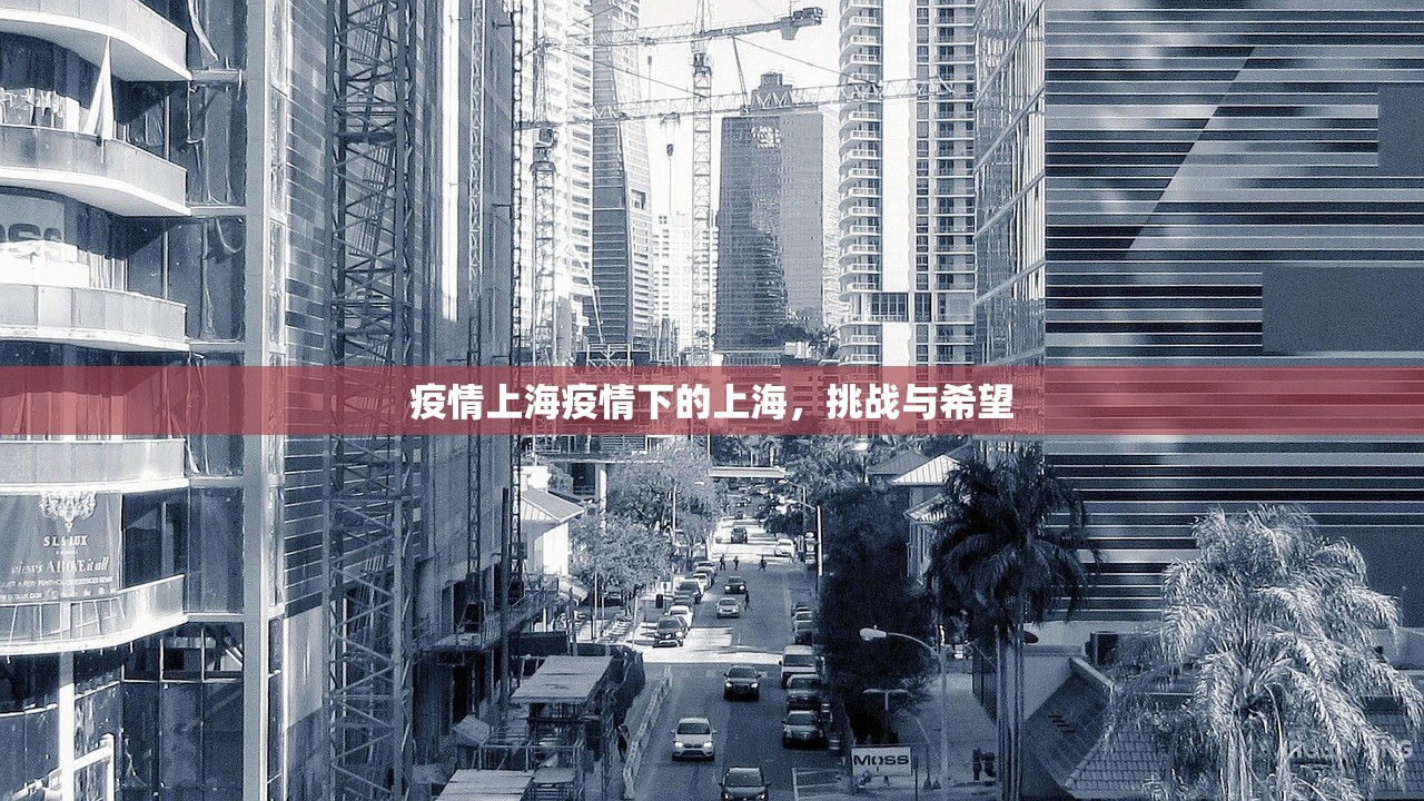 疫情上海疫情下的上海，挑战与希望