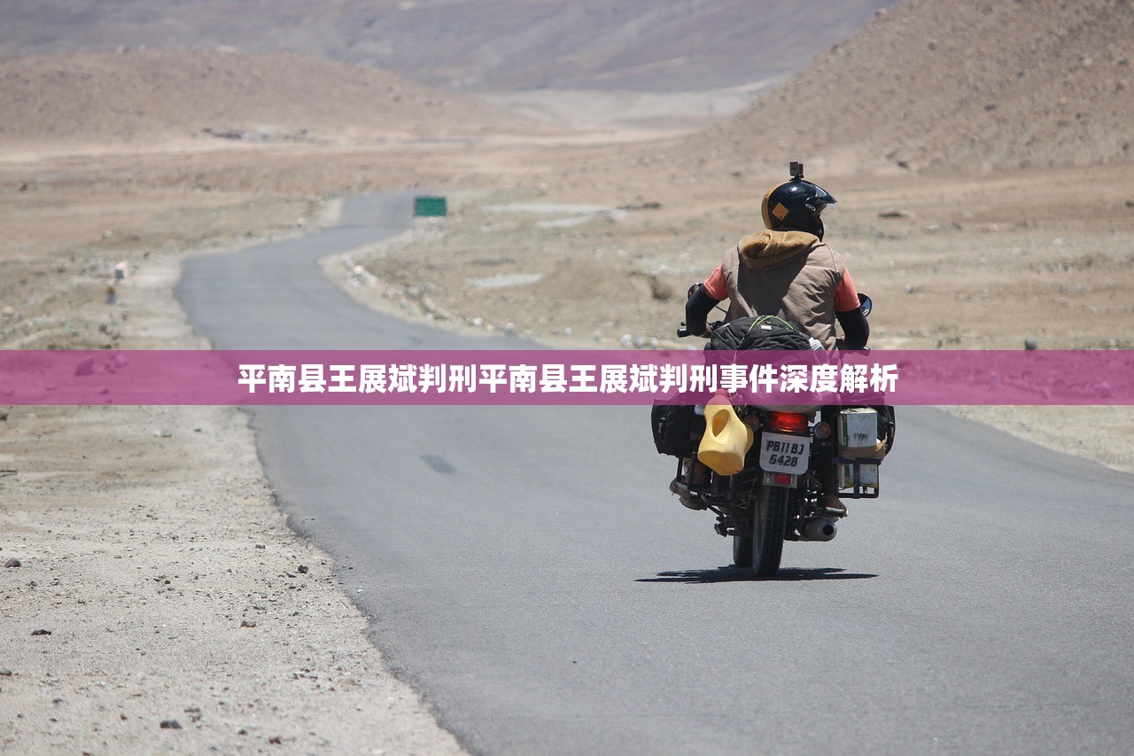 平南县王展斌判刑平南县王展斌判刑事件深度解析