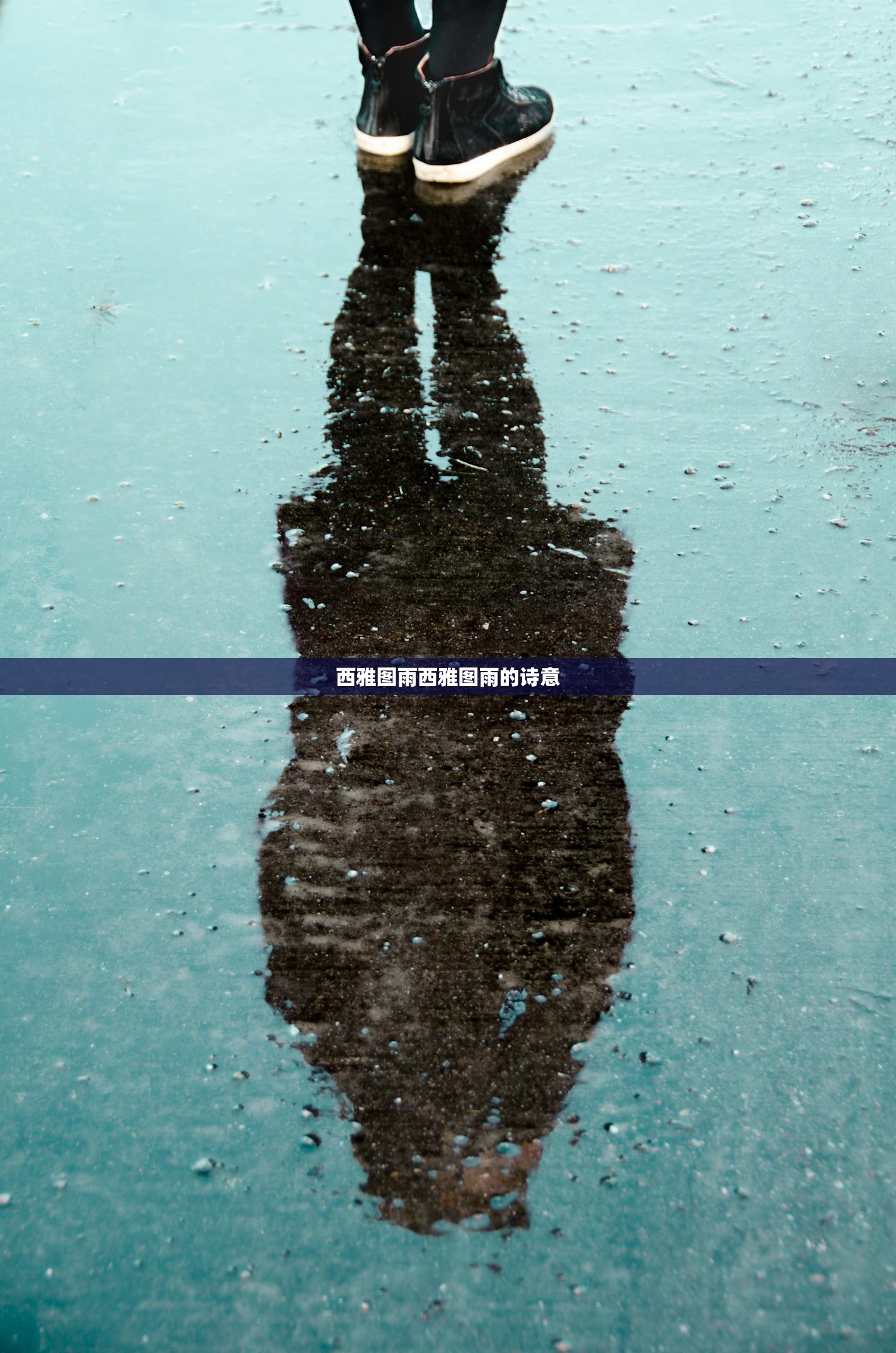 西雅图雨西雅图雨的诗意