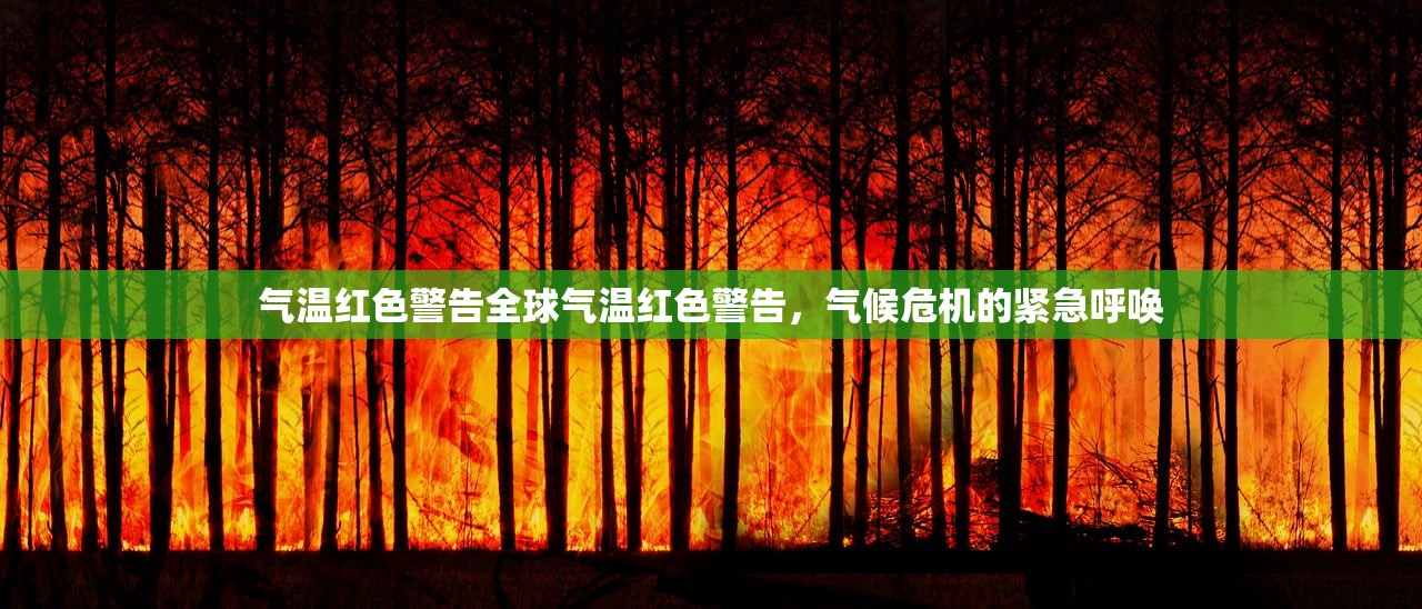 气温红色警告全球气温红色警告,气候危机的紧急呼唤 气温红色警告全球气温红色警告,气候危机的紧急呼唤