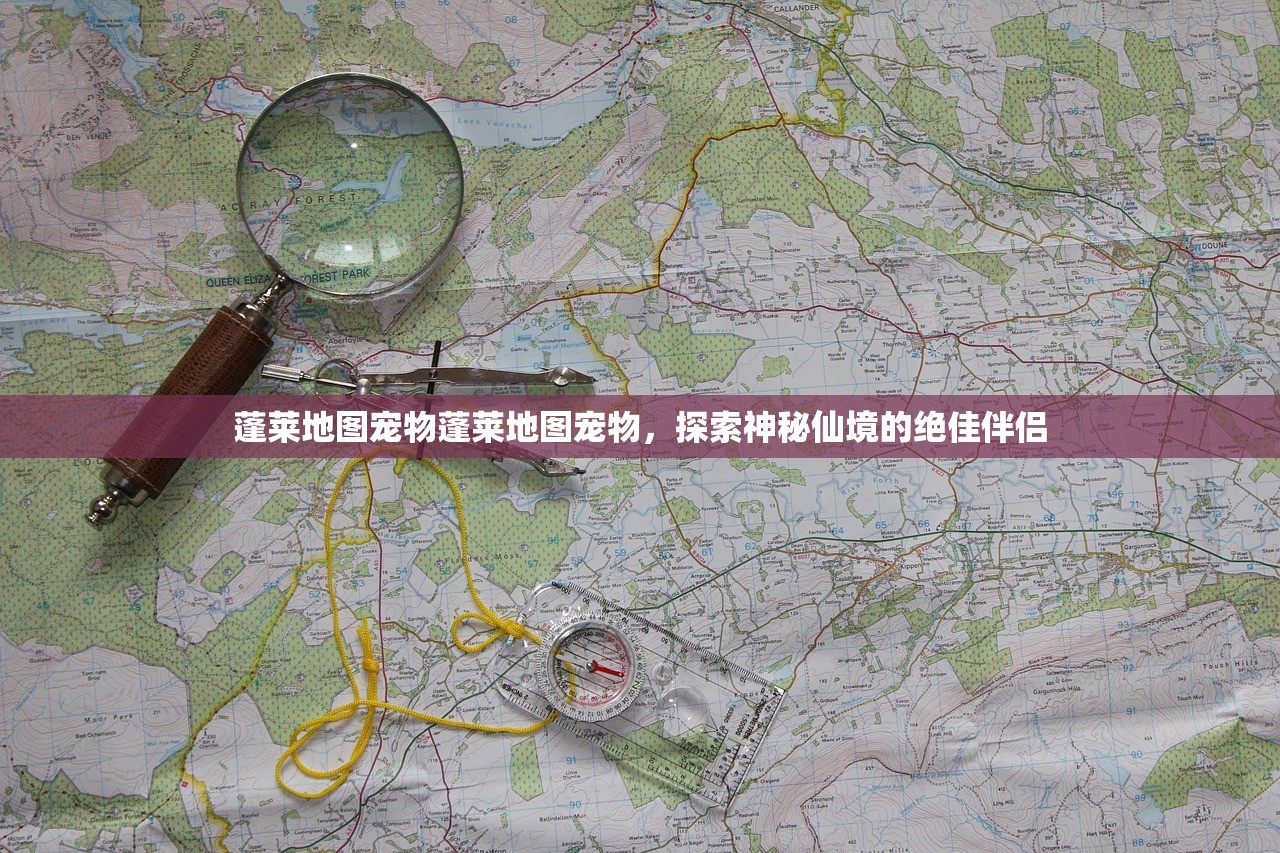 蓬莱地图宠物蓬莱地图宠物,探索神秘仙境的绝佳伴侣 蓬莱地图宠物蓬莱地图宠物,探索神秘仙境的绝佳伴侣