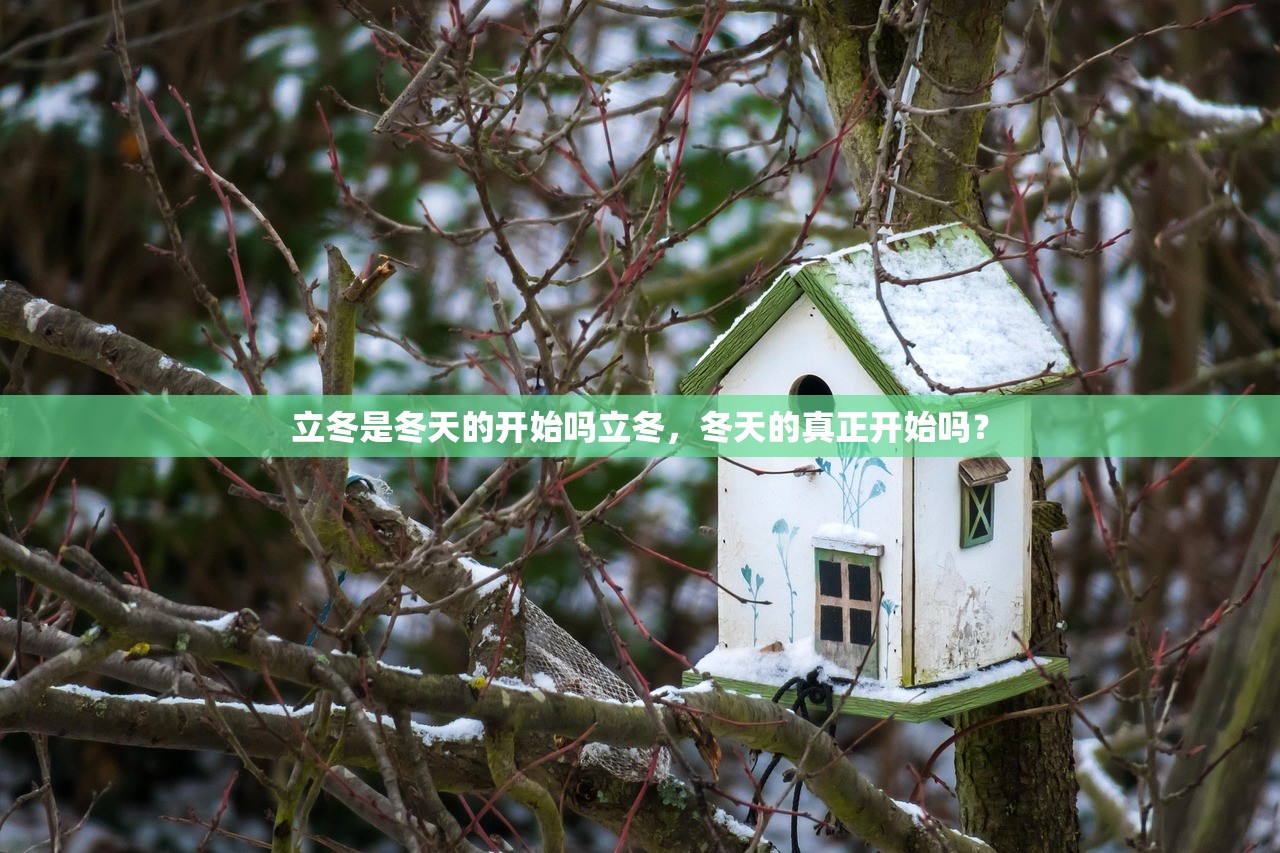 立冬是冬天的开始吗立冬，冬天的真正开始吗？