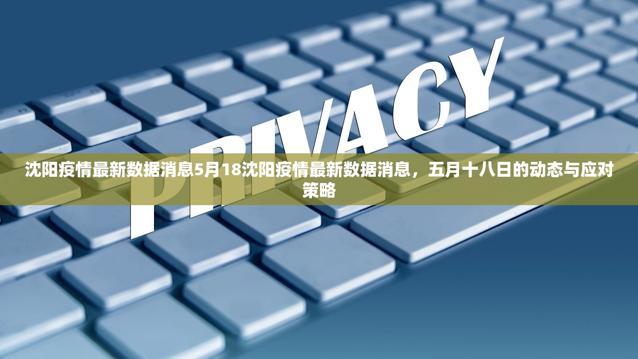 沈阳疫情最新数据消息5月18沈阳疫情最新数据消息，五月十八日的动态与应对策略