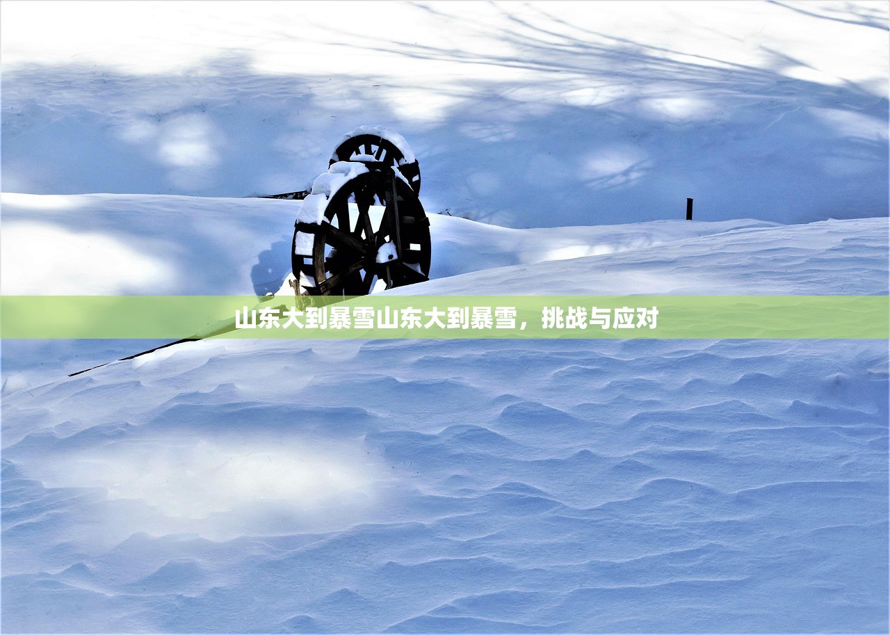 山东大到暴雪山东大到暴雪,挑战与应对 山东大到暴雪山东大到暴雪,挑战与应对