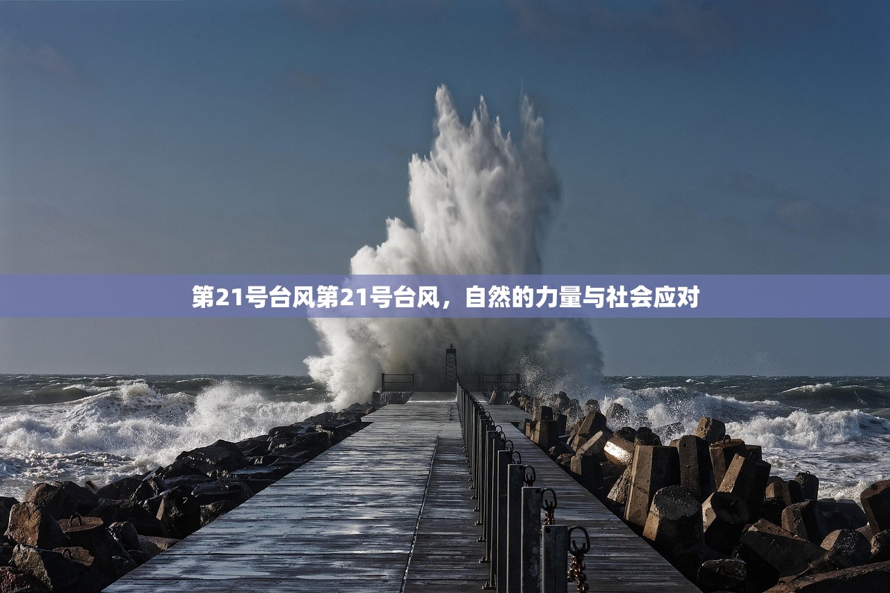 第21号台风第21号台风，自然的力量与社会应对
