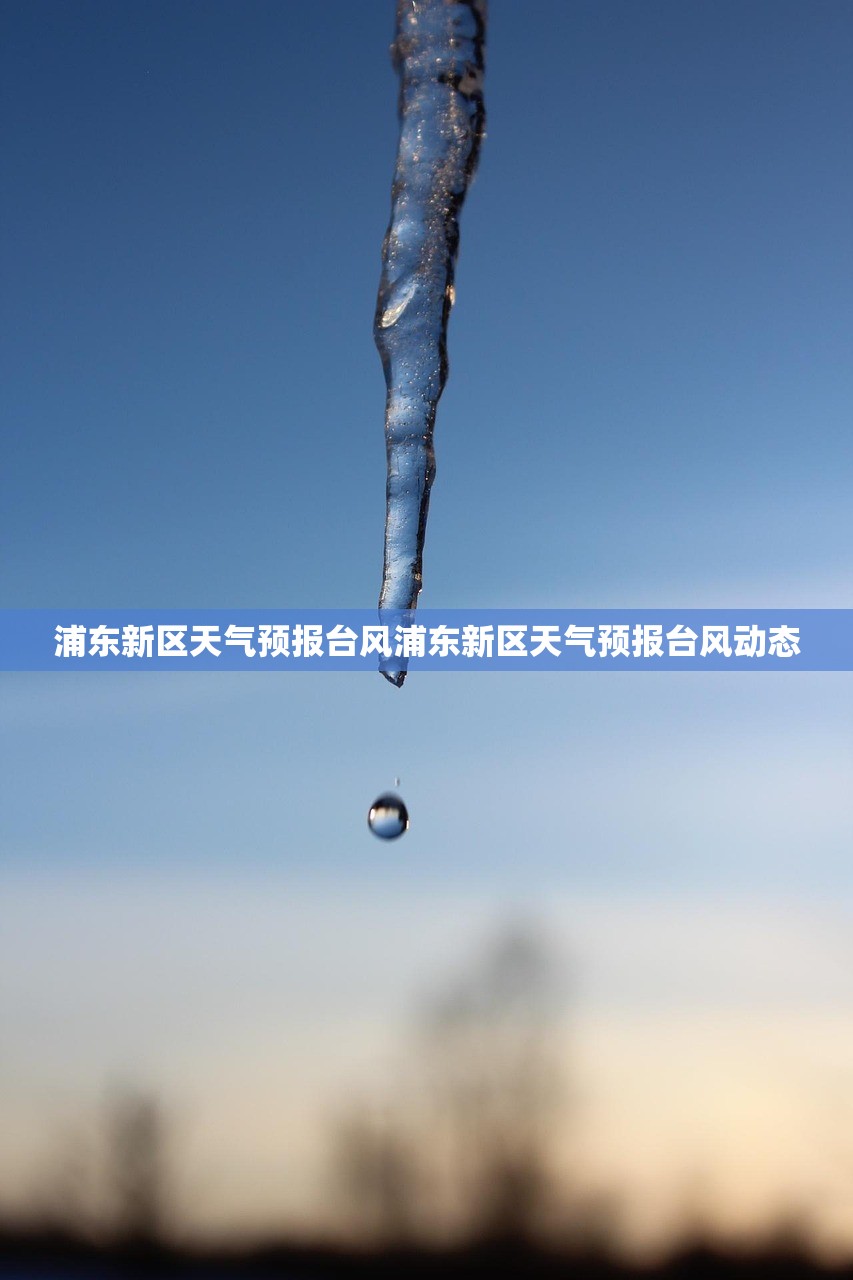 浦东新区天气预报台风浦东新区天气预报台风动态