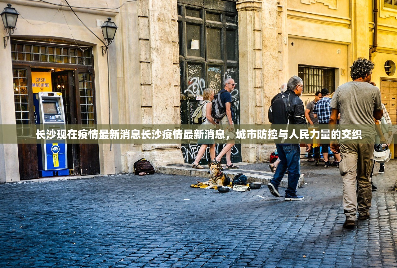 长沙现在疫情最新消息长沙疫情最新消息，城市防控与人民力量的交织