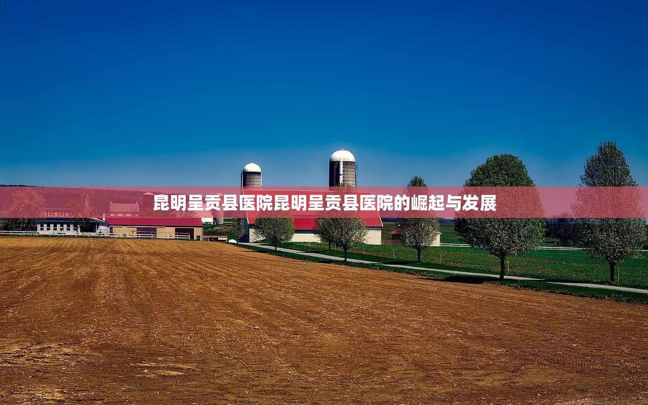 昆明呈贡县医院昆明呈贡县医院的崛起与发展