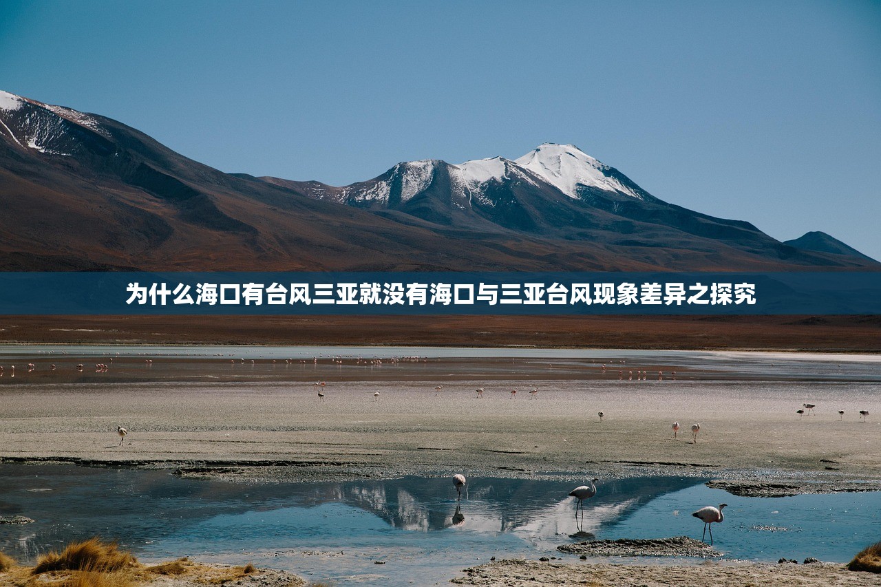为什么海口有台风三亚就没有海口与三亚台风现象差异之探究