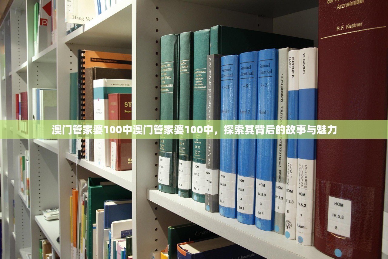 澳门管家婆100中澳门管家婆100中，探索其背后的故事与魅力