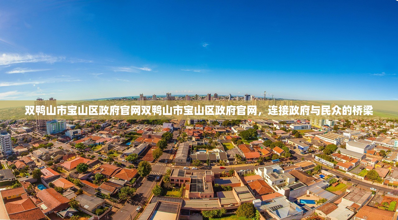 双鸭山市宝山区政府官网双鸭山市宝山区政府官网,连接政府与民众的桥梁 双鸭山市宝山区政府官网双鸭山市宝山区政府官网,连接政府与民众的桥梁