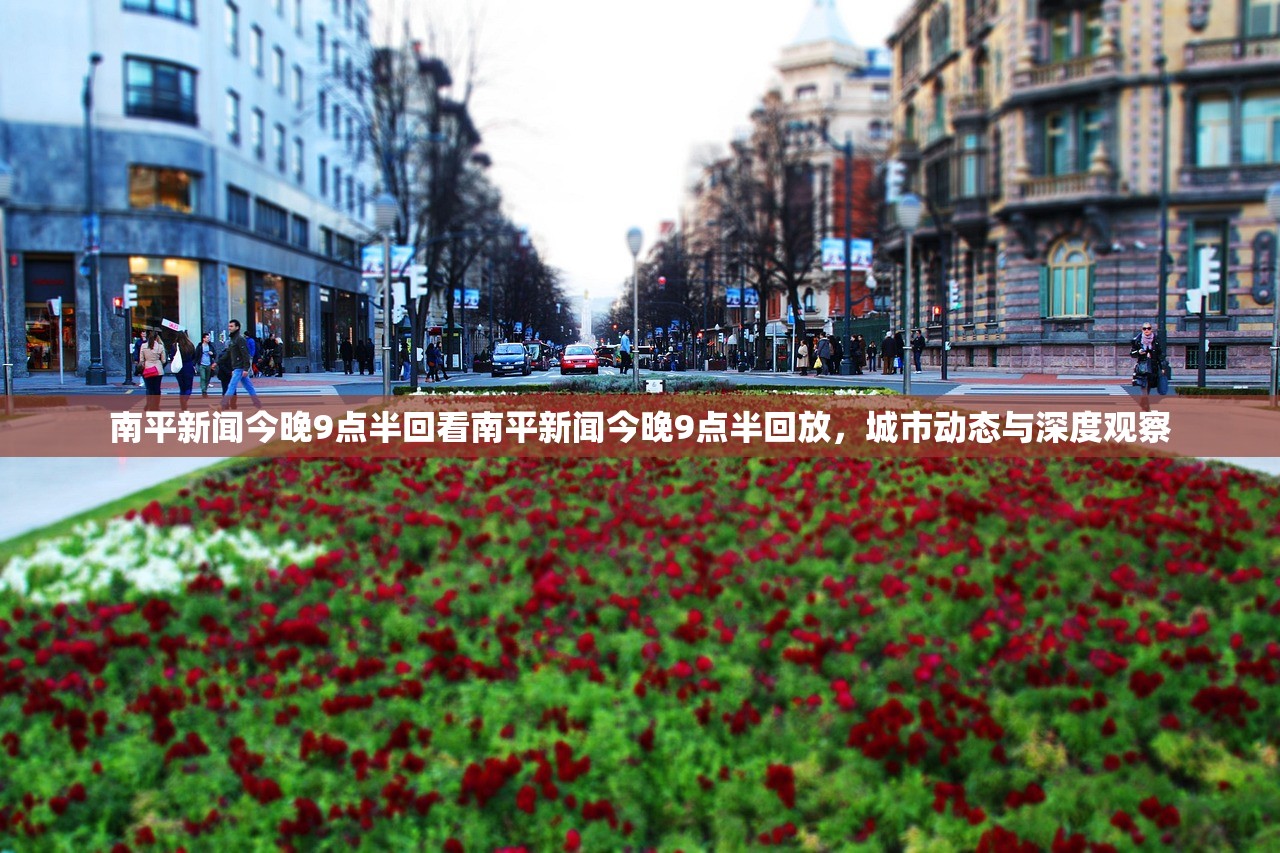 南平新闻今晚9点半回看南平新闻今晚9点半回放，城市动态与深度观察