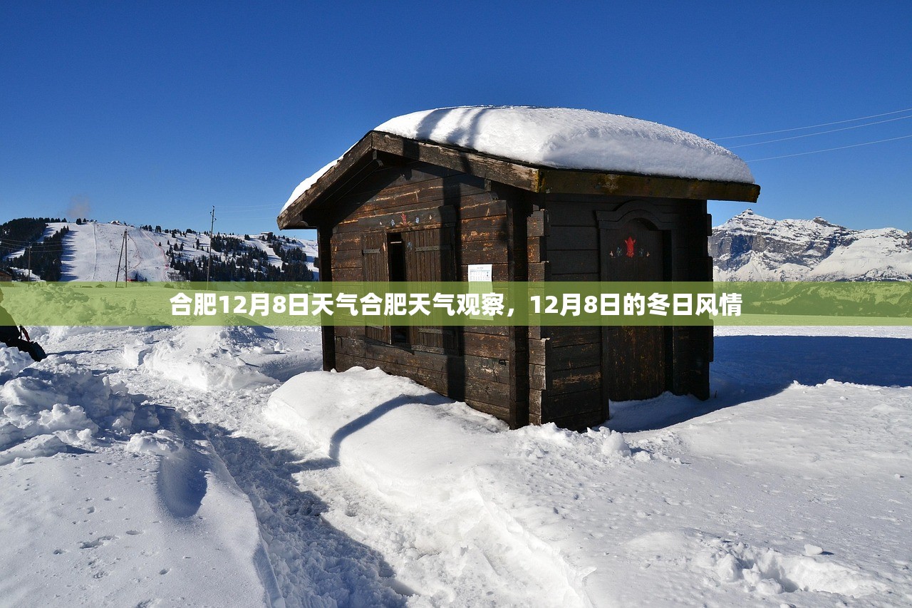 合肥12月8日天气合肥天气观察，12月8日的冬日风情