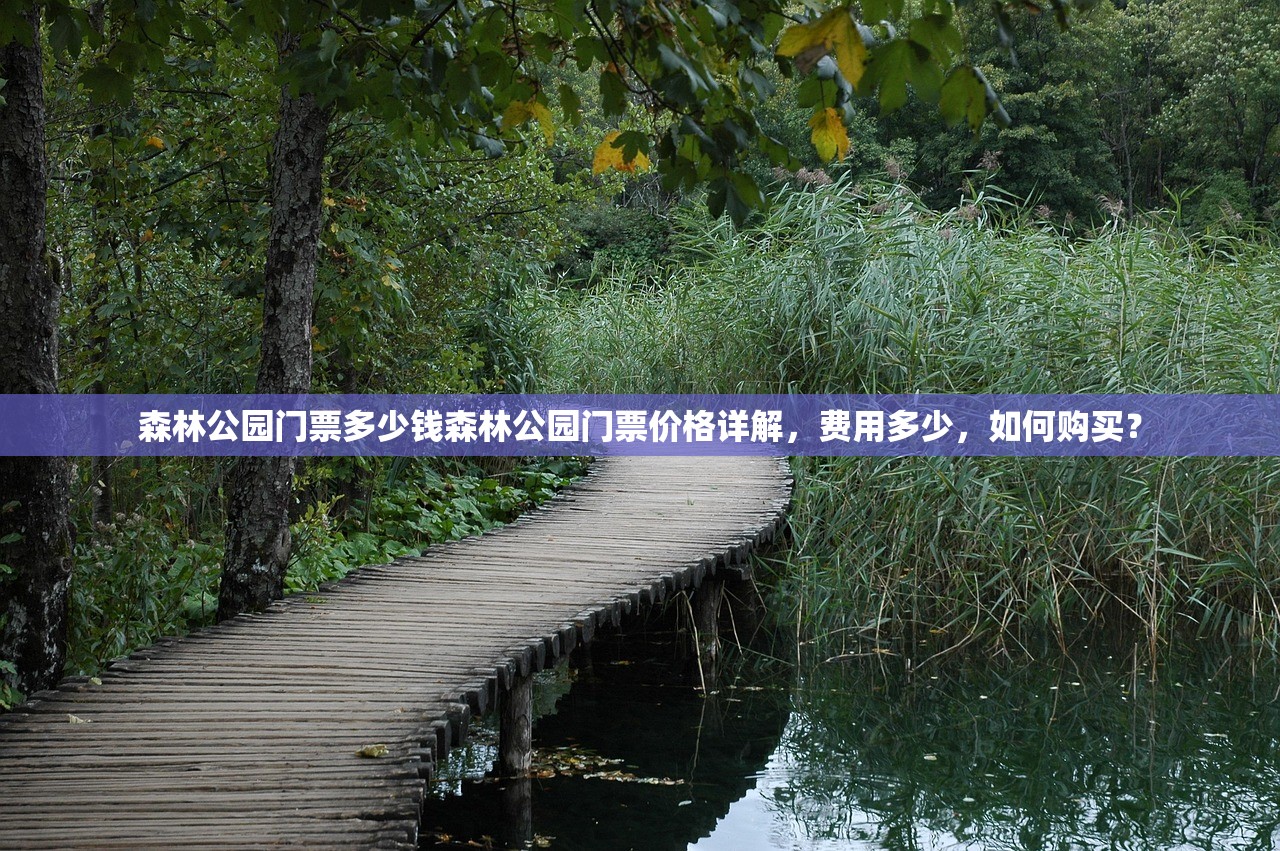 森林公园门票多少钱森林公园门票价格详解，费用多少，如何购买？