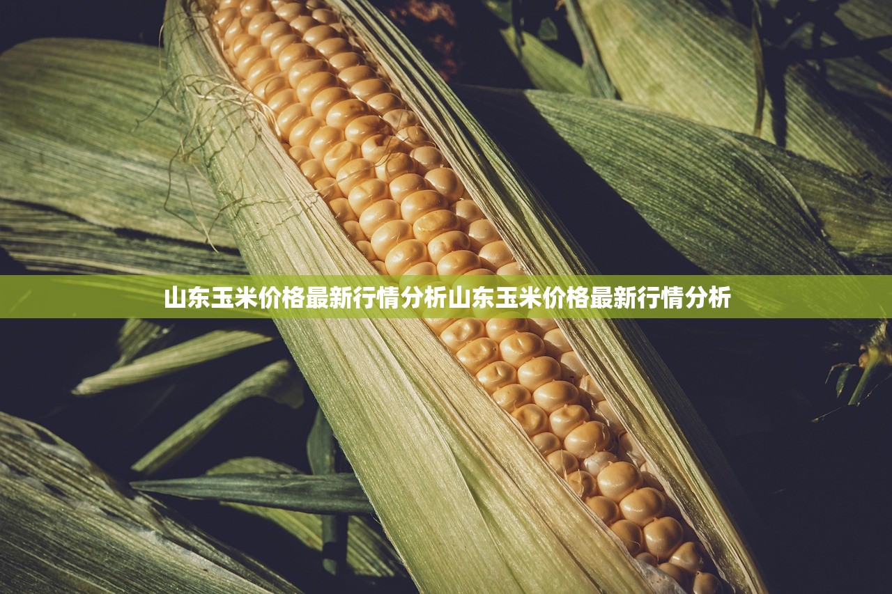 山东玉米价格最新行情分析山东玉米价格最新行情分析 山东玉米价格最新行情分析山东玉米价格最新行情分析