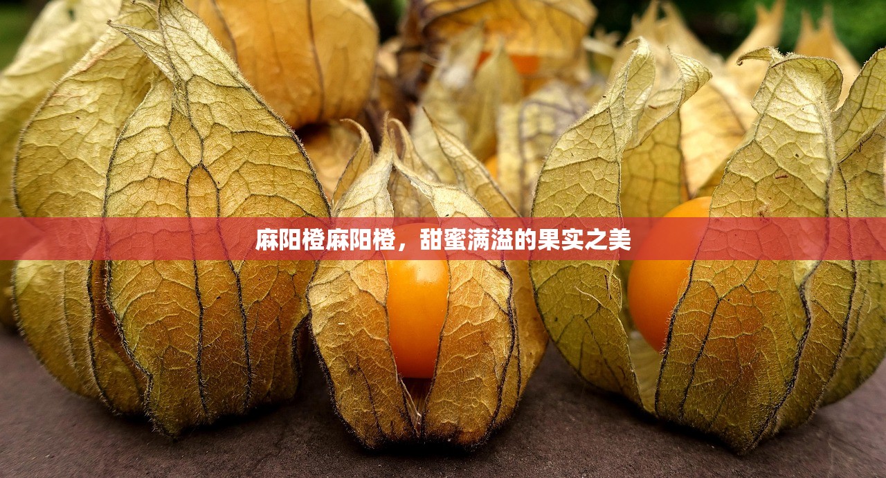 麻阳橙麻阳橙，甜蜜满溢的果实之美