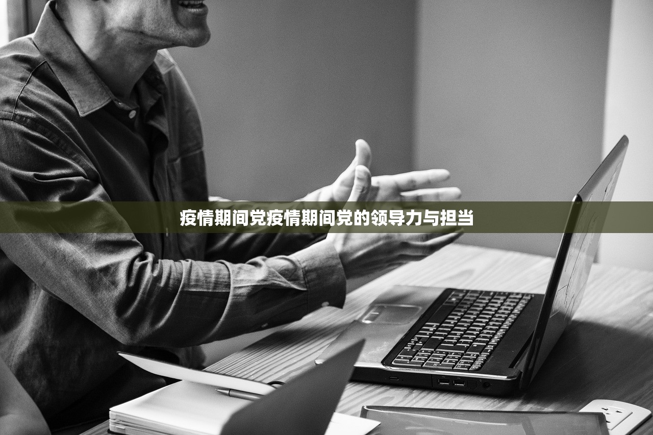 疫情期间党疫情期间党的领导力与担当