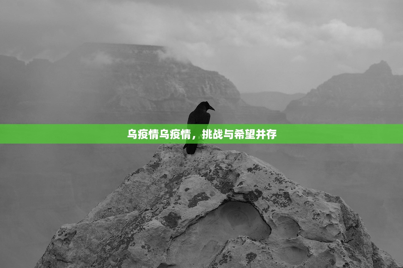 乌疫情乌疫情,挑战与希望并存 乌疫情乌疫情,挑战与希望并存