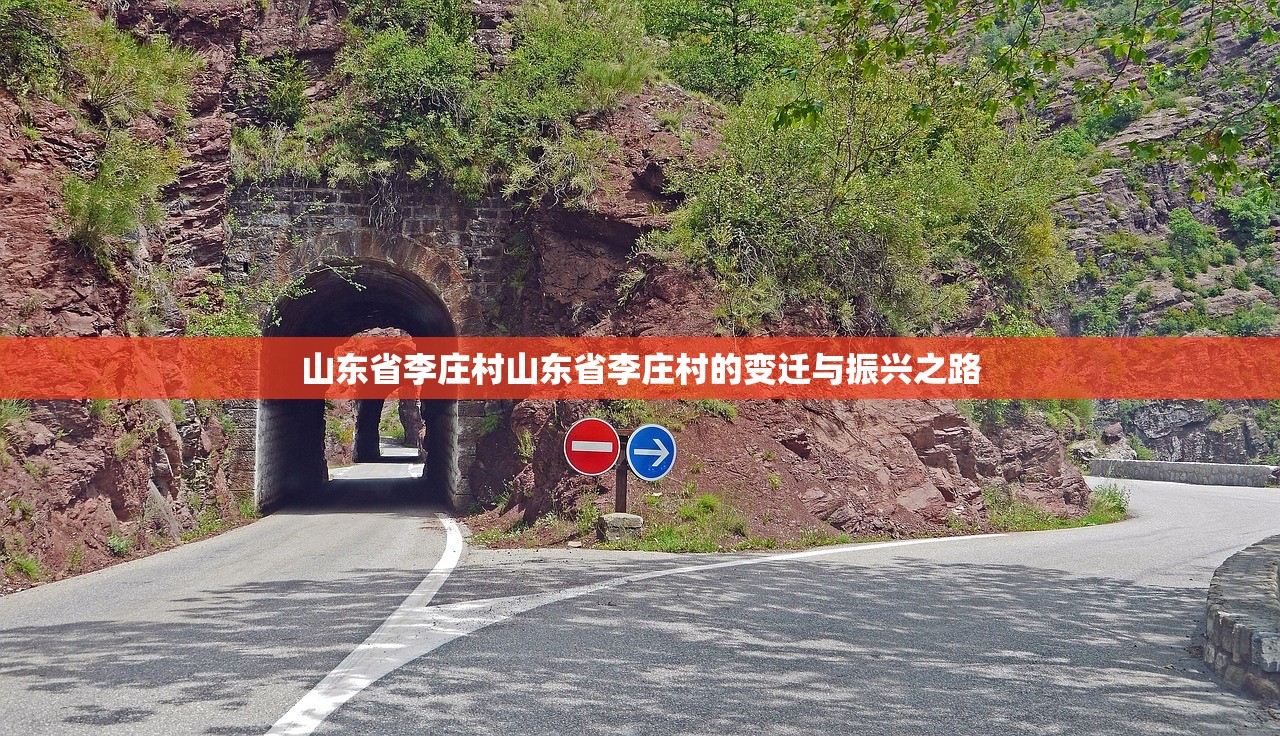 山东省李庄村山东省李庄村的变迁与振兴之路