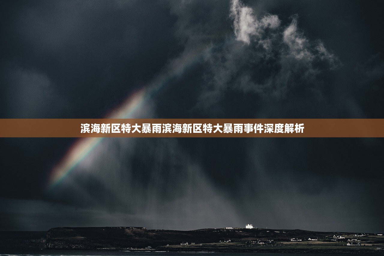 滨海新区特大暴雨滨海新区特大暴雨事件深度解析