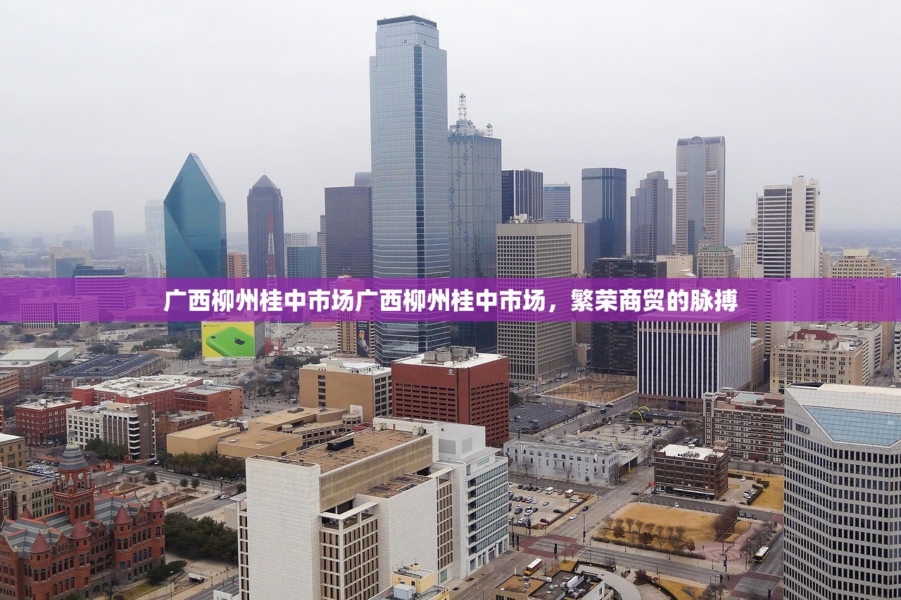 广西柳州桂中市场广西柳州桂中市场，繁荣商贸的脉搏