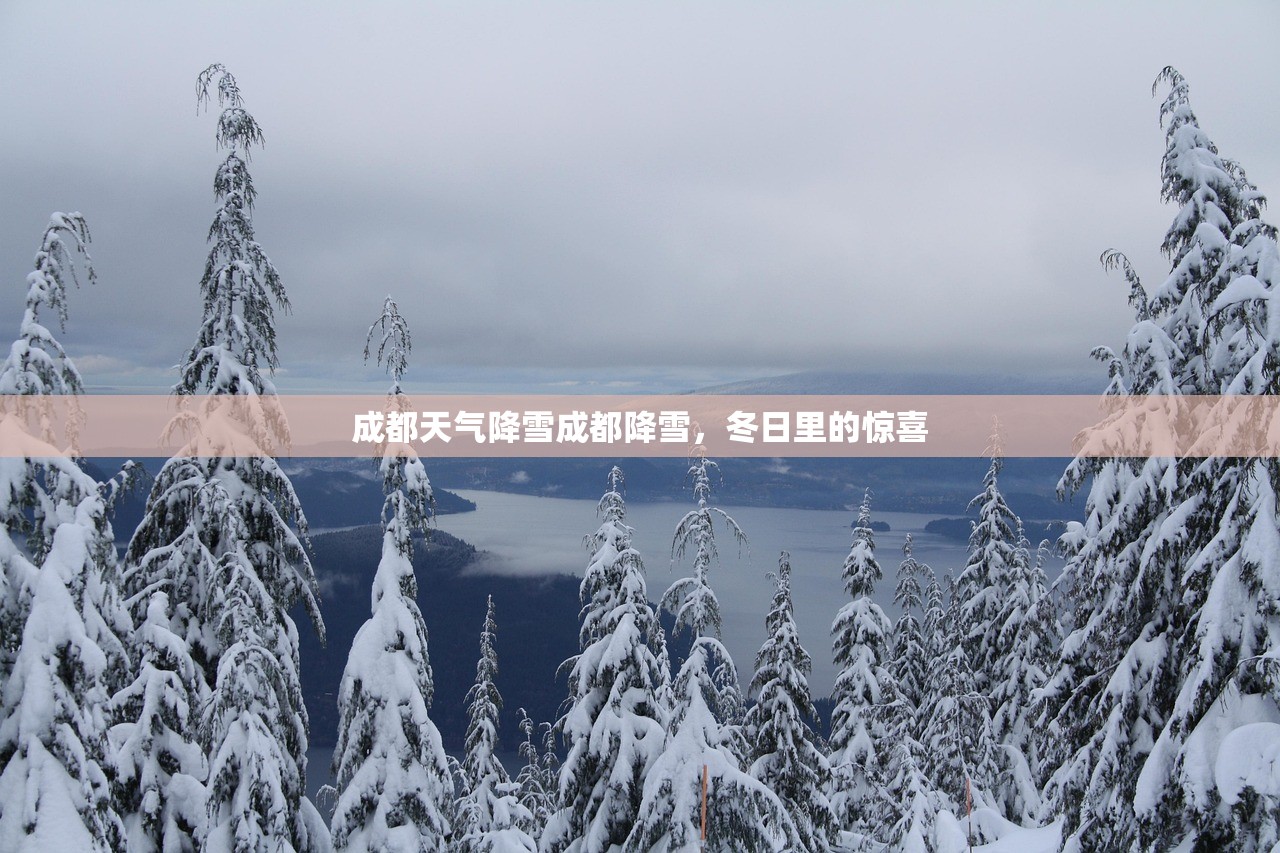 成都天气降雪成都降雪，冬日里的惊喜