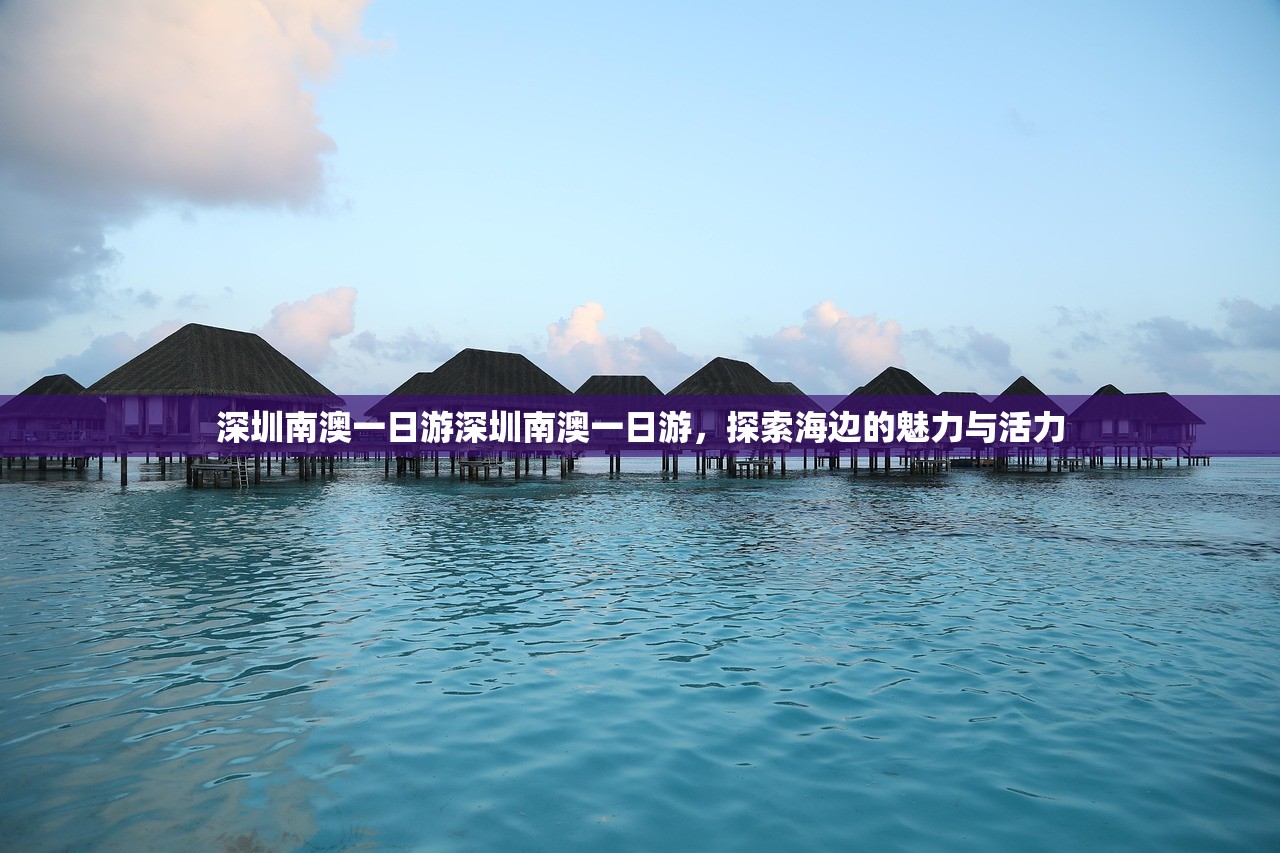 深圳南澳一日游深圳南澳一日游，探索海边的魅力与活力