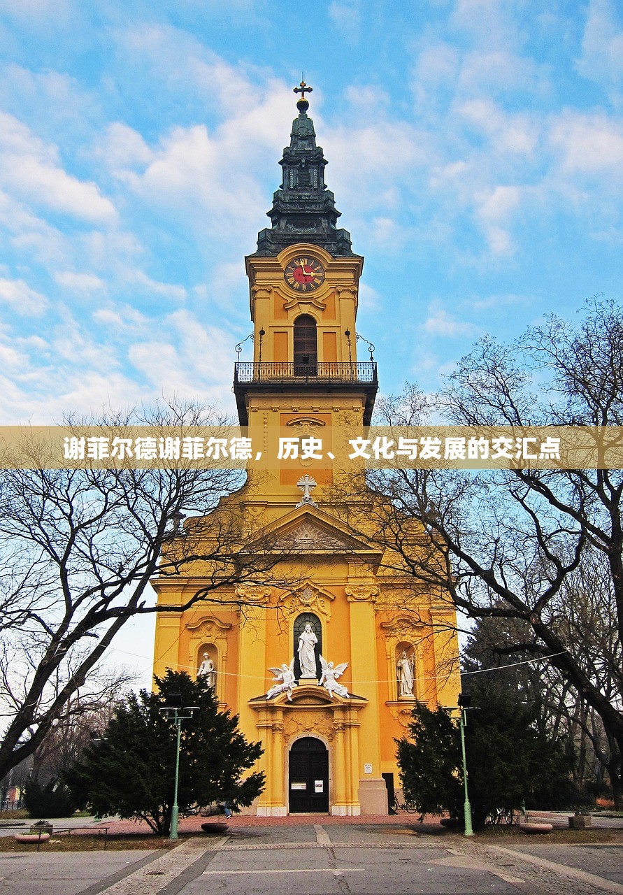 谢菲尔德谢菲尔德，历史、文化与发展的交汇点