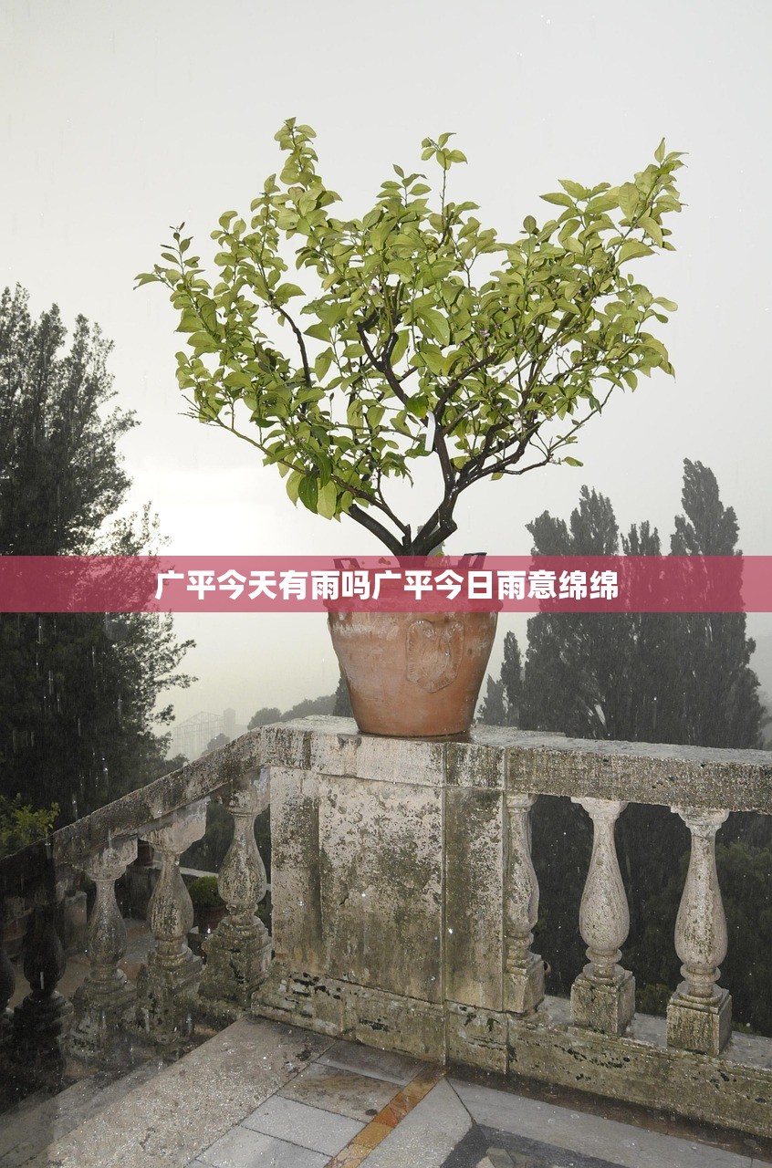 广平今天有雨吗广平今日雨意绵绵