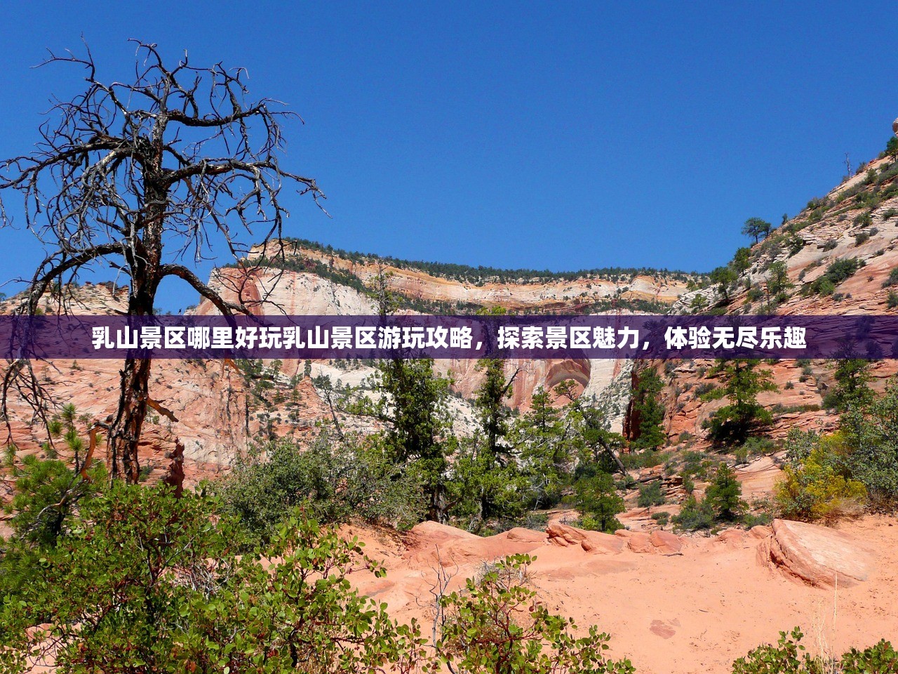 乳山景区哪里好玩乳山景区游玩攻略，探索景区魅力，体验无尽乐趣