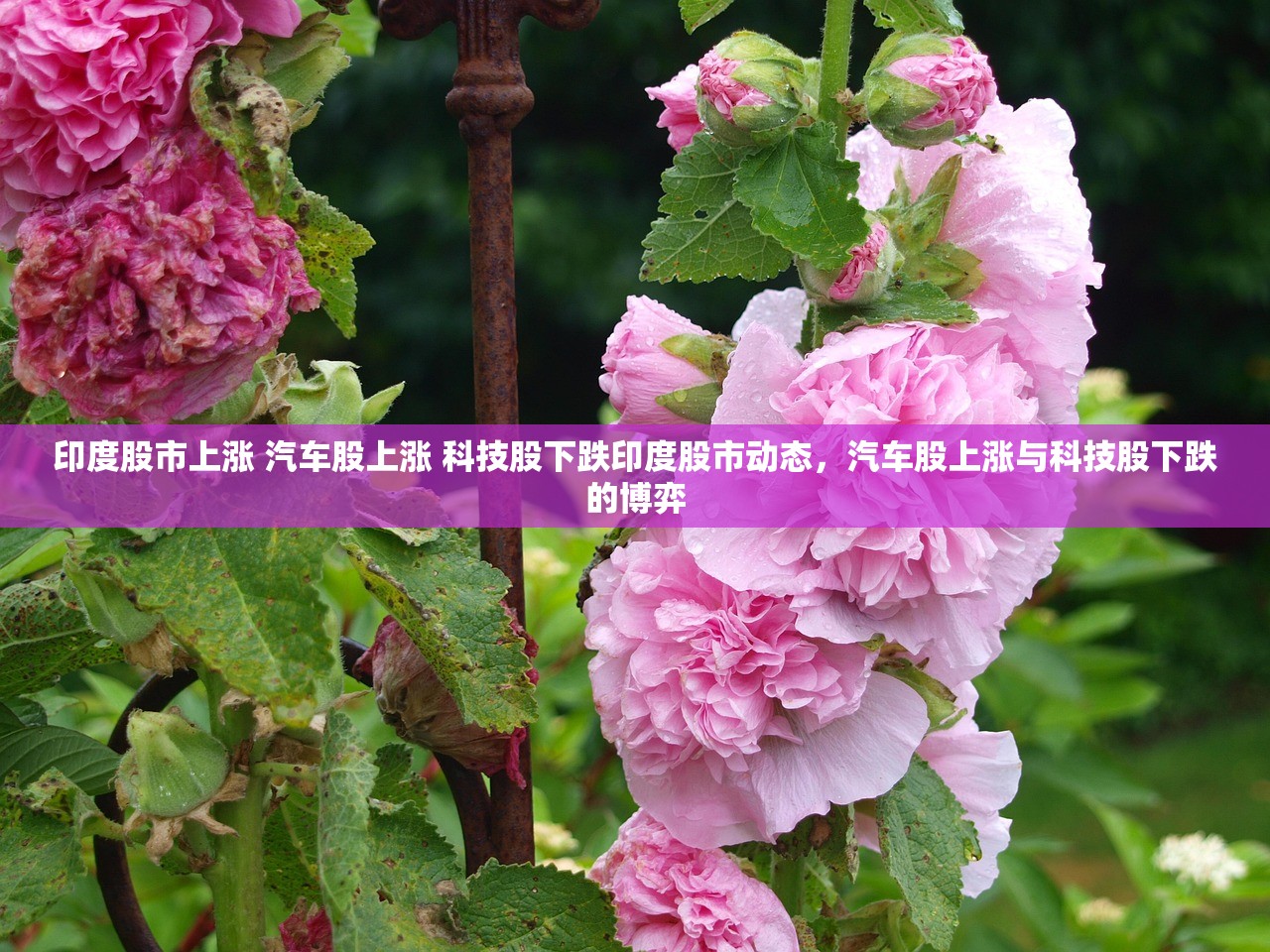 印度股市上涨 汽车股上涨 科技股下跌印度股市动态,汽车股上涨与科技股下跌的博弈 印度股市上涨 汽车股上涨 科技股下跌印度股市动态,汽车股上涨与科技股下跌的博弈