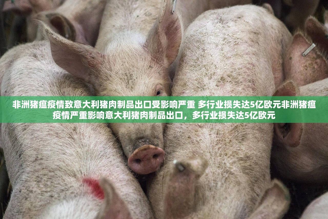 非洲猪瘟疫情致意大利猪肉制品出口受影响严重 多行业损失达5亿欧元非洲猪瘟疫情严重影响意大利猪肉制品出口，多行业损失达5亿欧元