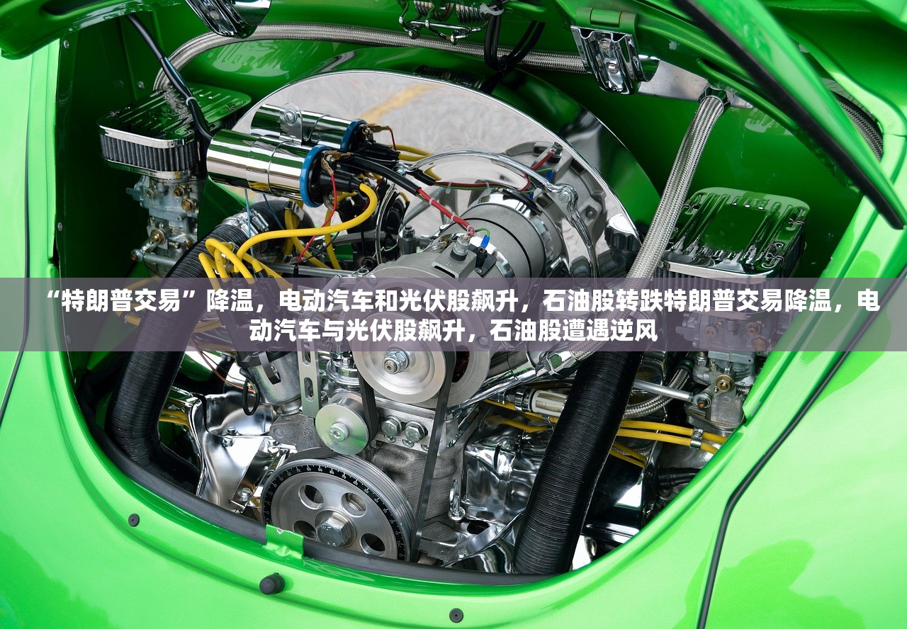 “特朗普交易”降温，电动汽车和光伏股飙升，石油股转跌特朗普交易降温，电动汽车与光伏股飙升，石油股遭遇逆风