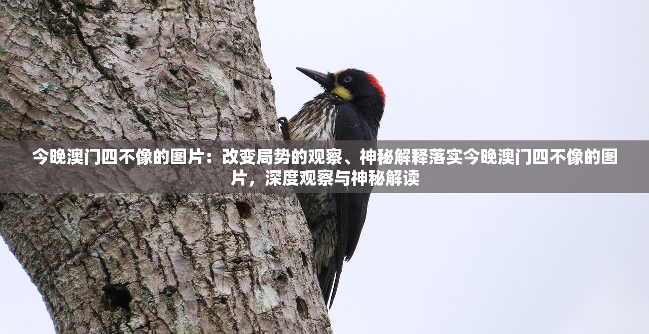 今晚澳门四不像的图片：改变局势的观察、神秘解释落实今晚澳门四不像的图片，深度观察与神秘解读