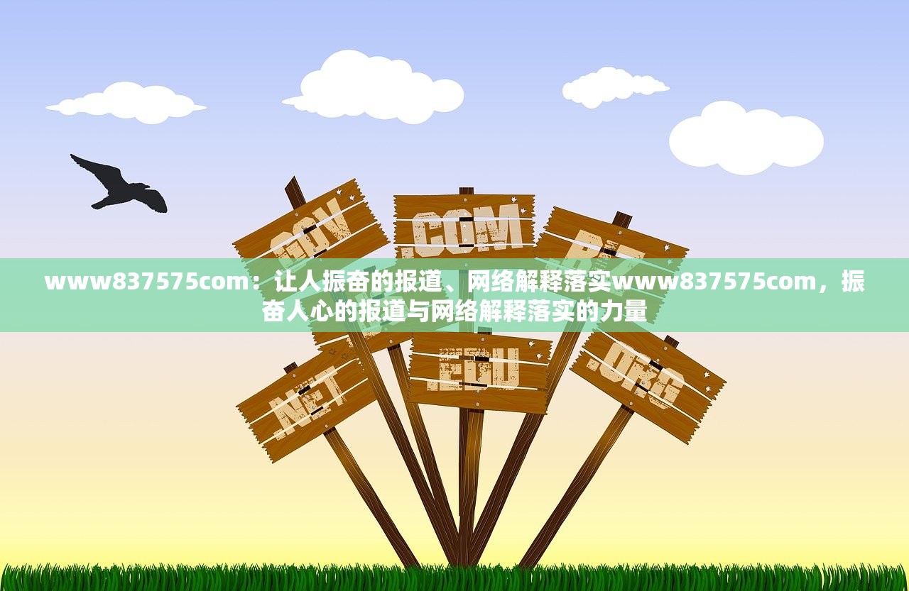 www837575com：让人振奋的报道、网络解释落实www837575com，振奋人心的报道与网络解释落实的力量