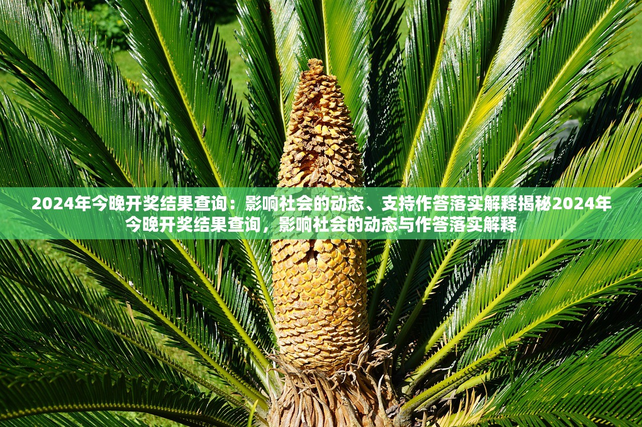 2024年今晚开奖结果查询：影响社会的动态、支持作答落实解释揭秘2024年今晚开奖结果查询，影响社会的动态与作答落实解释