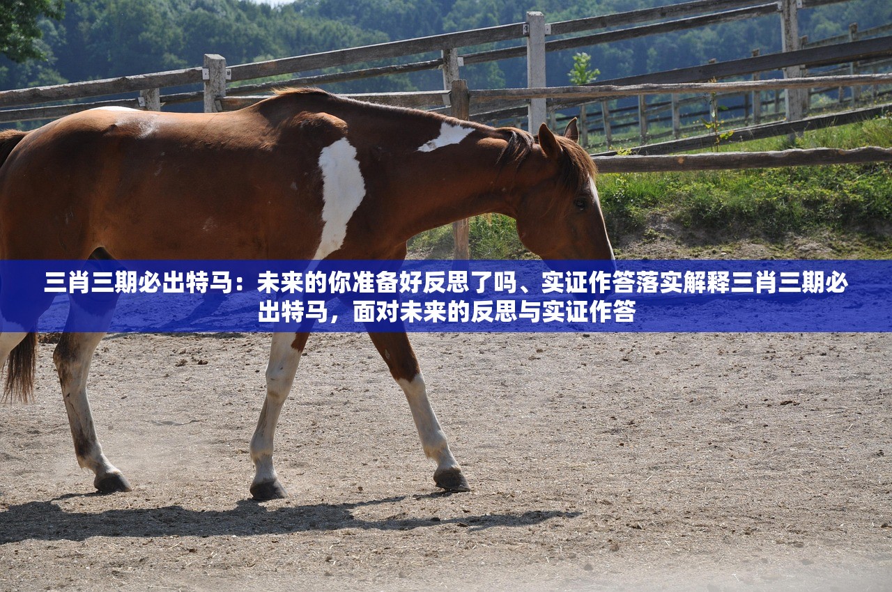 三肖三期必出特马：未来的你准备好反思了吗、实证作答落实解释三肖三期必出特马，面对未来的反思与实证作答